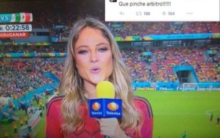 世界杯专题女主持，世界杯专题女主持人是谁