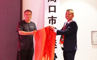 河南嵩山龙门足球厉害吗，河南嵩山龙门足球俱乐部股份有限公司